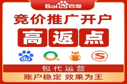 SEM优化策略：实战案例解析